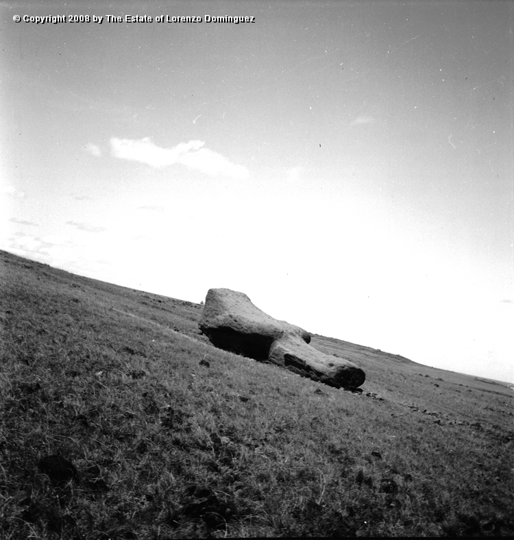 CDM_Moai_01.jpg - Easter Island. 1960. Moai on the transport road.